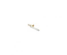 Schagerl Bb/F- Trombone Fontana