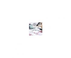 Costway Rastrello da neve per tetti in alluminio da giardino con altezza regolabile 190-640cm