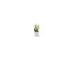 Gli Alberelli Pianta Quadra Grandissima h 34 cm Decoro CALLA