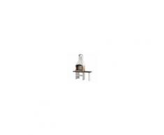 PALAZZETTI Barbecue Jesolo 160x71x238 Cm Legna Griglia 68x40 Cm Peso 455 Kg