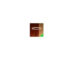 Gea Luce Srl Iole Sospensione Moderna Cerchio Luminoso D.60 A Led Integrato