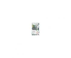 Tombow Pennarelli Dual Brush soggetti piante. Set Greenery 10 pezzi