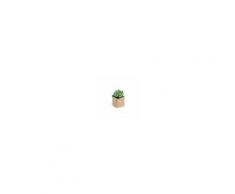 Kave Home Pianta artificiale Pachyphytum