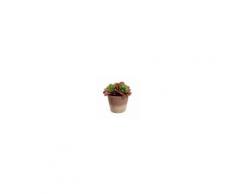 Kave Home Pianta artificiale Sinocrassula indica
