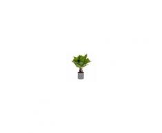 Kave Home Pianta artificiale Anthurium da 50 cm