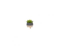 Kave Home Pianta artificiale Sedum lucidum in vaso in cemento