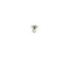 Kave Home Pianta artificiale Tillandsia