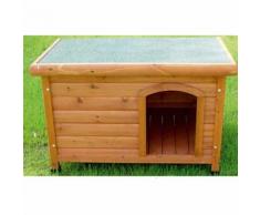 Canile Shelter Croci: Cuccia Medium