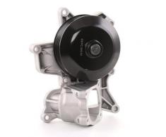 SKF Pompa Acqua BMW VKPC 88310 11517807311