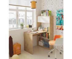 Scrivania ad angolo modernaper ufficio e studio con libreria, Tavolo da computer, Scrittoio porta