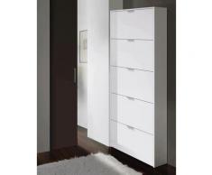 Dmora Scarpiera a cinque ante con apertura a ribalta, colore bianco lucido, Misure 70 x 180 x 17 cm