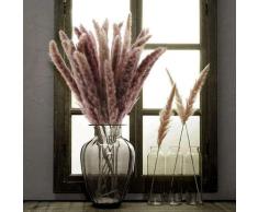 Devenirriche - 25pcs fiori secchi naturali erba marrone pampa decorazione essiccata per la tavola