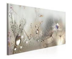 Decorazioni per la casa Stampa Pittura murale Arte astratta Perline di rugiada Casa Senza cornice