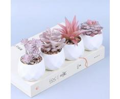 4 Pz Piante Artificiali Succulente Piante Finte Grasse con Vasi Decorazione da Interno e Esterno