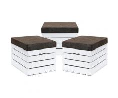 Grandbox - Panca contenitore in Legno 37x40x50 Sgabello con coperchio, imbottito, Cassapanca con