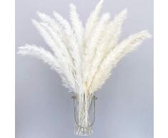 30 pezzi stile boemo essiccato erba artificiale pampa decorazioni per la casa Phragmites fiori