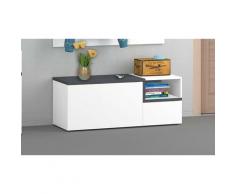 Mobile da ingresso, Made in Italy, Modulo componibile, Panca a 2 ante, cm 120x40h54, colore Bianco