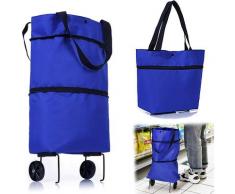 Carrello della spesa pieghevole, passeggino da mercato 2 in 1 a 2 ruote, carrello da arrampicata