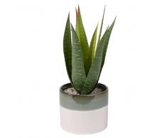 Pianta artificiale Aloe Vera in vaso in ceramica bicolore