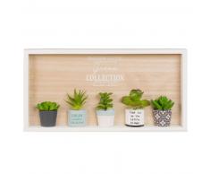 Quadro con piante grasse artificiali 46x23