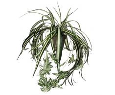 Unbekannt Mica Decorations 918252Â Chlo rophytum l45d45Â Grigio in Vaso Stan D11.5Â Verde Artificiale, in Poliestere, 45Â x 45Â x 45Â cm
