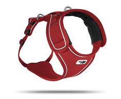 Curli 0102-0302-1-300-07 Belka - Strofinaccio, Colore: Rosso