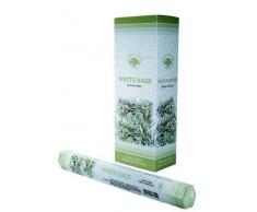 GREEN TREE CANDLE 8903664100074Â Bianco Salvia Bastoncini di Incenso, 20Â Pezzi