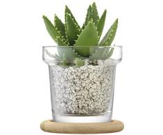 LSA vaso per piante e base in quercia h16.5Â cm trasparente. 16.2Â x 16.2Â x 16.5Â cm