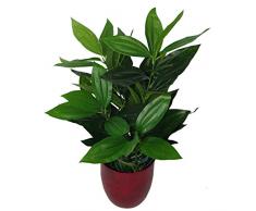 Leaf UK Gardens - Pianta Artificiale, 70 cm, Colore: Verde