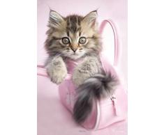 1art1 Gatti - Back in The Bag Poster Stampa (91 x 61cm)