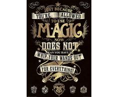 Harry Potter - Magic - Film Fantasy Familie Kino Poster Druck - GrÃ¶sse 61x91,5 cm