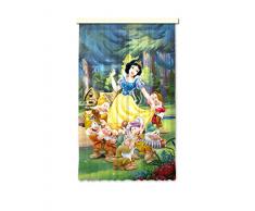 North Star FCSL7115 Tenda per Porte/Finestre 140 x 245 cm, Multicolore