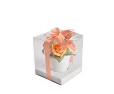 Sentiflore Pot Pourri Rose in Vaso 12,5Â x 12,5Â x 14,5Â cm Arancione