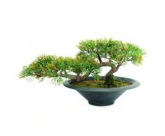 Euro Palms 82600113 - Pianta artificiale, Cedro bonsai, 40 cm