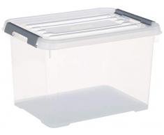 Allibert - Scatola portaoggetti con Coperchio âHandy Plusâ, Trasparente/Argento, 20Â Litri