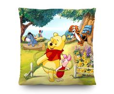 AG Design CND 3119 Cuscino Decorativo con Copertina, Poliestere, Multicolore, 4 x 4