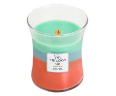 Woodwick - Candela Trilogy, Multicolore, Media, neutralizza Gli odori