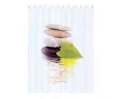 MSV TP-Products - Tenda Doccia Lingga, incl. 12 Ganci, Dimensioni: 180 x 200 cm