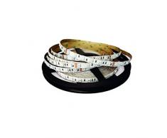 FILUX Rotolo 10Â M 5050Â 60Â LEDs/m-24Â V-12Â W/m-ip65-rgb-2000mcd striscia LED, 120Â W, bianco