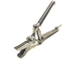 Due Cigni pinza aragosta e Masticatore tritacarne, argento, 18Â cm