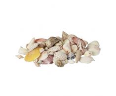 Relaxdays 10021108 Mix di Conchiglie di Mare Decorative in Set Vera Decorazione Marina per Bricolage, da Bagno 500 g Colorate
