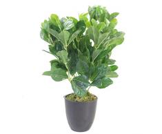 Leaf - Cespuglio artificiale di Geranium Aralia (Polyscias Guilfoylei) 45 cm