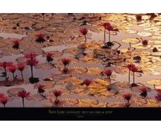 Empire 157485 - Poster Motivazionale, Motivo Fiori di Loto, 91.5 x 61 cm