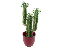 Foglia di cactus artificiali, 60 cm