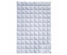 Billerbeck 5542620001, Piumino Singolo E04 Goldedition Superlight, Circa 135 x 200 cm