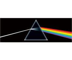 1Â ART1Â 43795Â Pink FloydÂ âÂ Dark Side of The Moon Door Poster (158Â x 53Â cm)