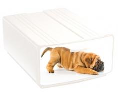 DEA HOME Z980RE08WA02 Animals 1 Contenitore Singolo, Boxy, 40X29X15, Bianco