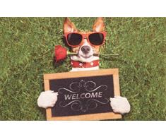 oKu-Tex Zerbino, Poliammide, 40 x 60 x 0,5 cm