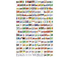 1art1 Bandiere del Mondo - Flags of The World 2010 Poster Stampa (91 x 61cm)