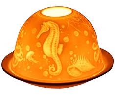 Light-Glow Portacandele Acquatico, Porcellana, Bianco, 13 x 12 x 8 cm